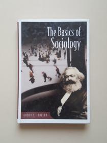 The Basics of Sociology