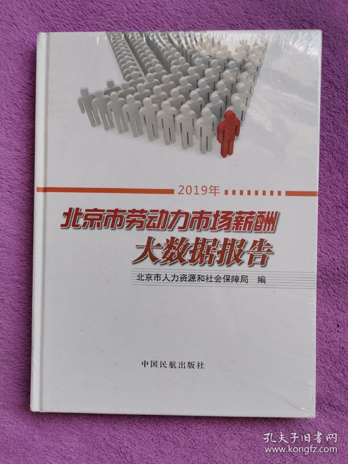 2019年北京市劳动力市场薪酬大数据报告【大16开硬精装】未开封