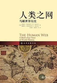 人类之网：鸟瞰世界历史