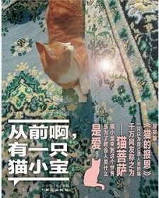 《从前啊，有一只猫小宝》