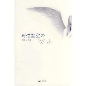 划过星空的WISH