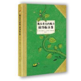 魔豆杰克的魔力植物标本集