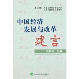 中国经济发展与改革建言