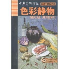 中央美术学院高才生精品范画：色彩静物