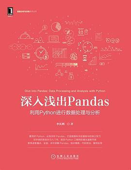 深入浅出Pandas：利用Python进行数据处理与分析