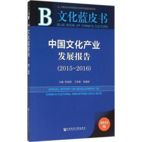 中国文化产业发展报告