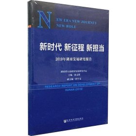 新时代新征程新担当——2019年湖南发展研究报告