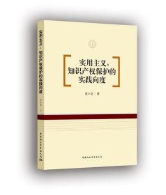 实用主义：知识产权保护的实践向度