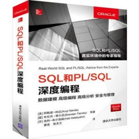 SQL和PL SQL深度编程 数据建模 高级编程 高级分析 安全与管理