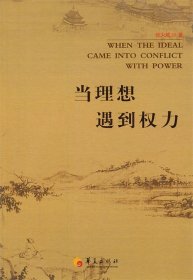 当理想遇到权力