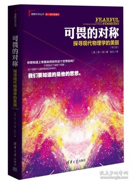 可畏的对称：探寻现代物理学的美丽