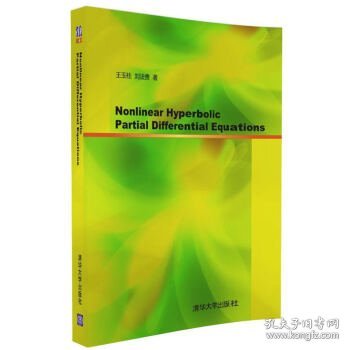 Nonlinear hyperbolic partial differential equations