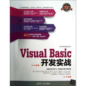 Visual Basic开发实战