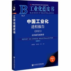 工业化蓝皮书：中国工业化进程报告