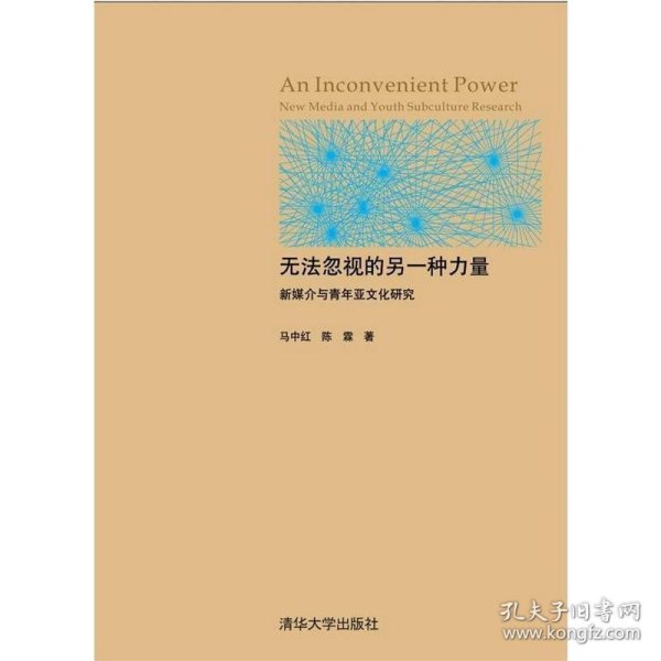 无法忽视的另一种力量：新媒介与青年亚文化研究