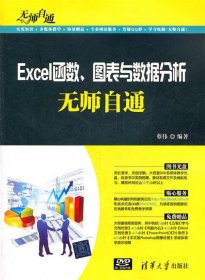 无师自通：Excel函数、图表与数据分析无师自通