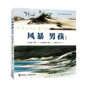 风暴男孩
