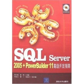 53·QL Server2005-PowerBu1lder11高级开发指南