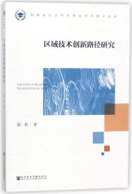 区域技术创新路径研究