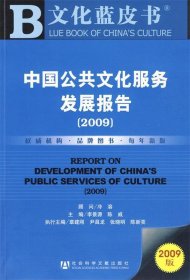 中国公共文化服务发展报告（2009）