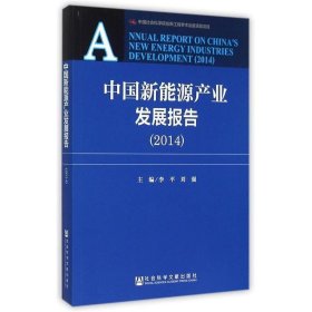 中国新能源产业发展报告