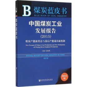 煤炭蓝皮书:中国煤炭工业发展报告