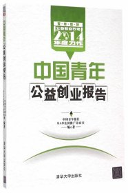 中国青年公益创业报告-2014年度力作