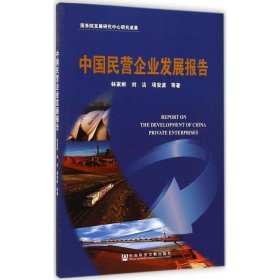 中国民营企业发展报告