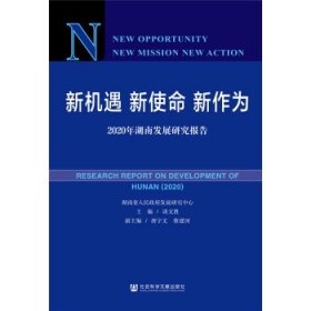 新机遇新使命新作为：2020年湖南发展研究报告