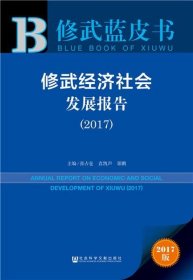 修武经济社会发展报告（2017）