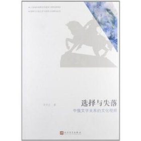 选择与失落：中俄文学关系的文化观照