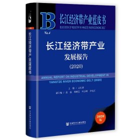 长江经济带产业发展报告.2020