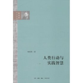 人类行动与实践智慧（杨国荣作品系列）