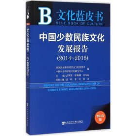 文化蓝皮书:中国少数民族文化发展报告