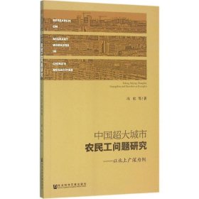 中国超大城市农民工问题研究