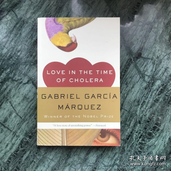 Love in the Time of Cholera