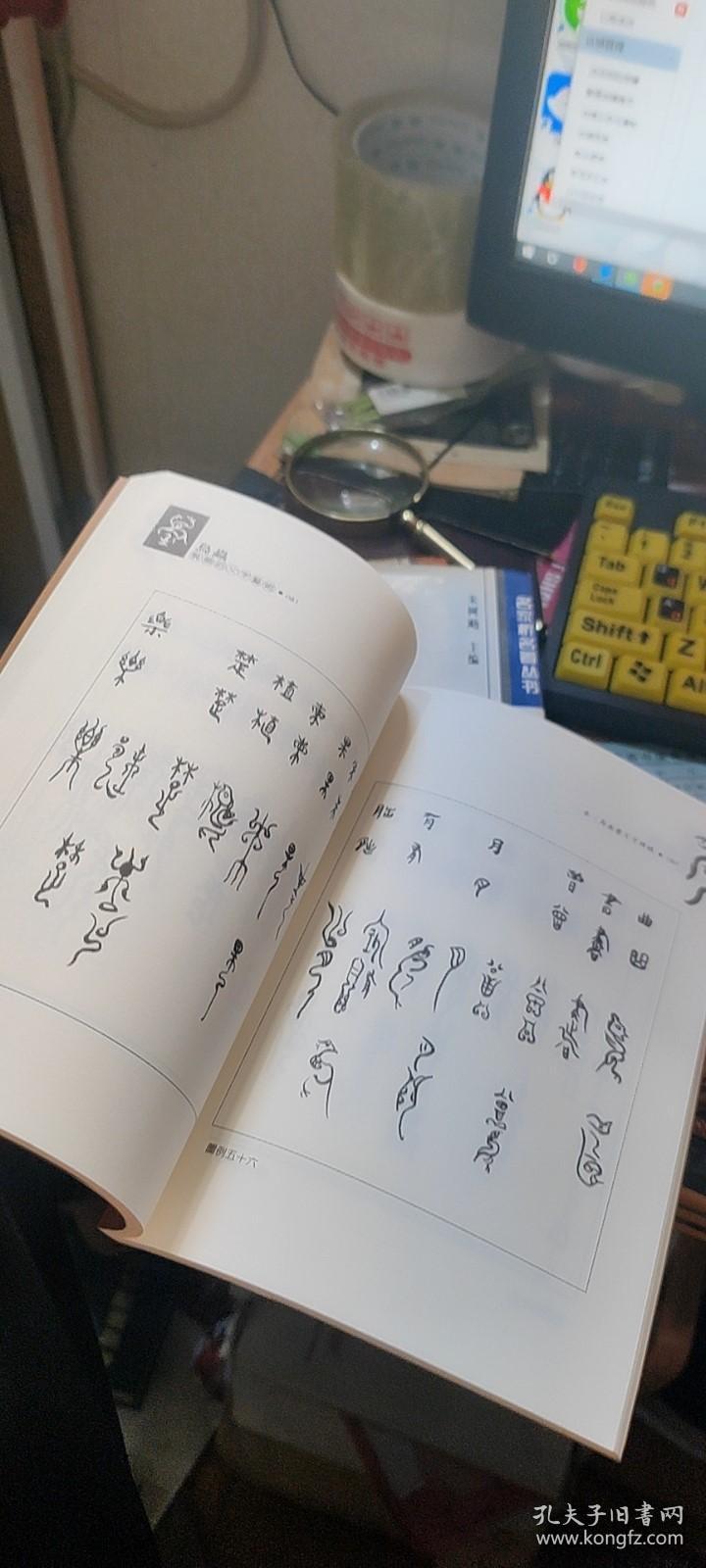 鸟虫文的书法艺术：鸟虫装饰的文字艺术