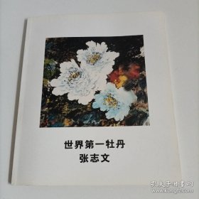 张志文画选、画集、作品集