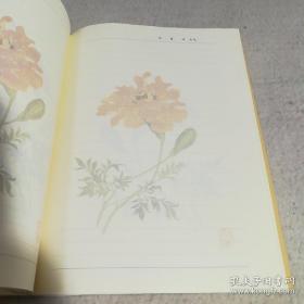 百花诗笺谱 一、画册、图录、作品集