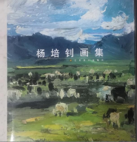 杨培钊作品集、画册、画集