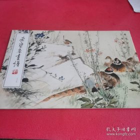 王雪涛禽鸟(荣宝斋画谱)画选、画集、作品集