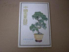 中国盆景艺术(1套10枚)明信片