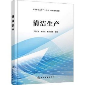 现货速发 清洁生产 化学工业出版社 9787122436993