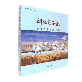 現貨速發(fā) 翩躚黃海潮：劉曉陽攝影作品集 中國攝影出版社 9787517906032