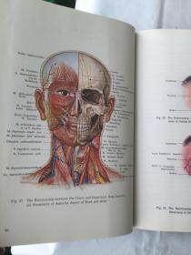 ANATOMICAL ATLAS OF CHINESE ACUPUNCTURE POINTS   针灸穴位解剖图谱