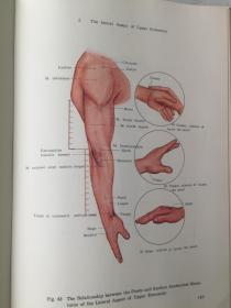 ANATOMICAL ATLAS OF CHINESE ACUPUNCTURE POINTS   针灸穴位解剖图谱