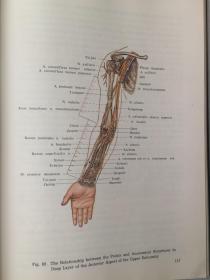 ANATOMICAL ATLAS OF CHINESE ACUPUNCTURE POINTS   针灸穴位解剖图谱