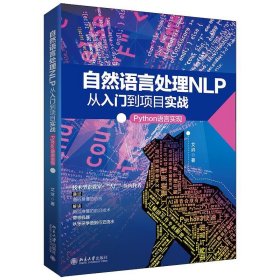 自然语言处理NLP从入门到项目实战：Python语言实现