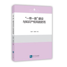 “一带一路”建设与知识产权风险防范