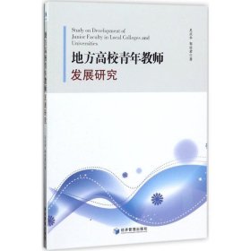 地方高校青年教师发展研究